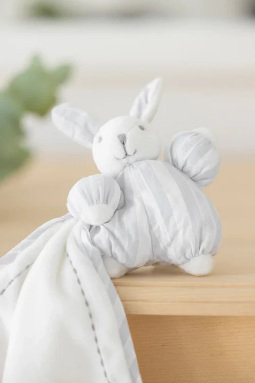 Tartine et Chocolat Augustin the rabbit