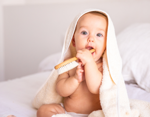 Carelia natural Brush for baby